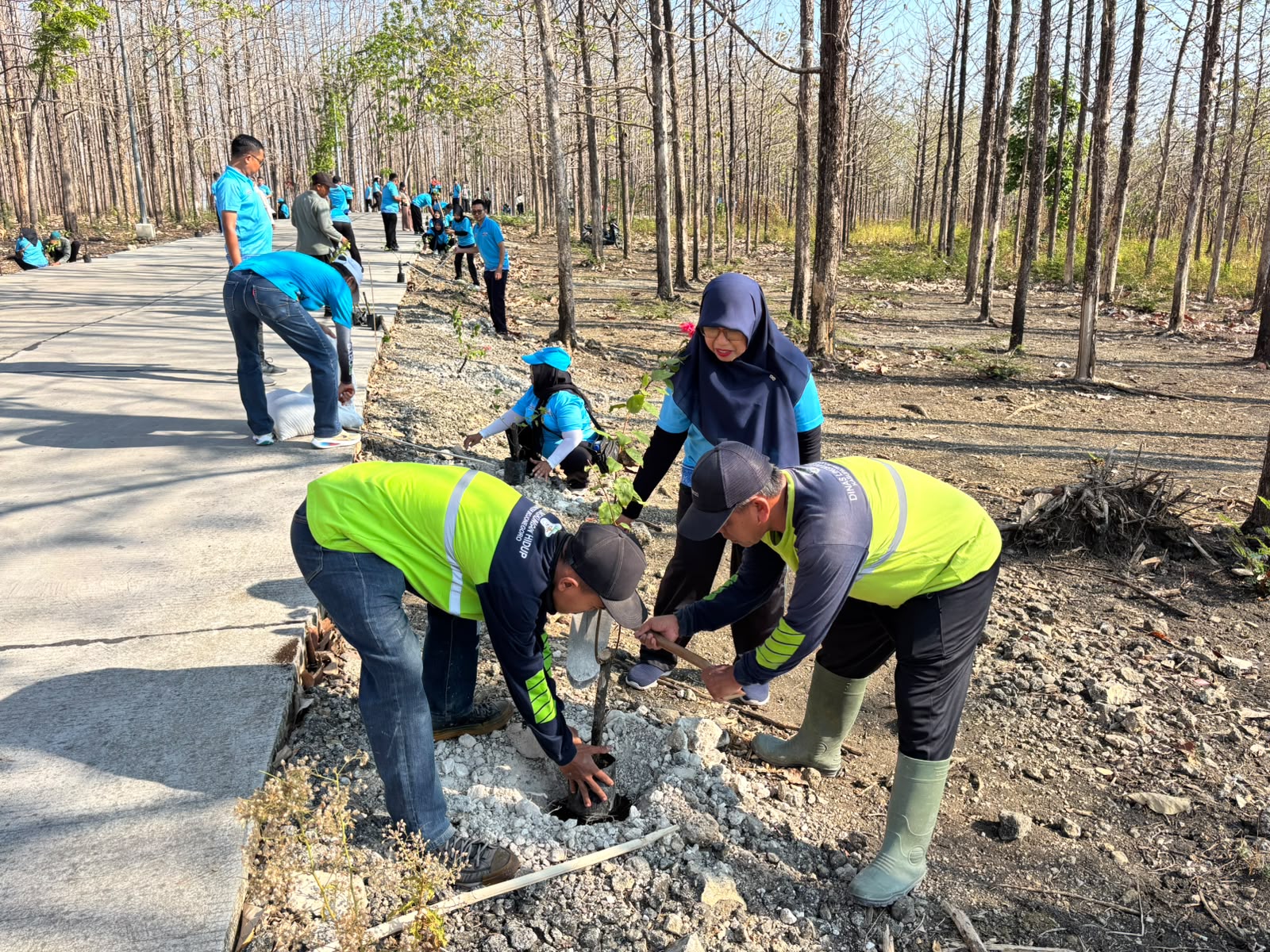 Penanaman 100 Bibit Bougenville di Pintu Masuk Wisata Geopark Kayangan Api
