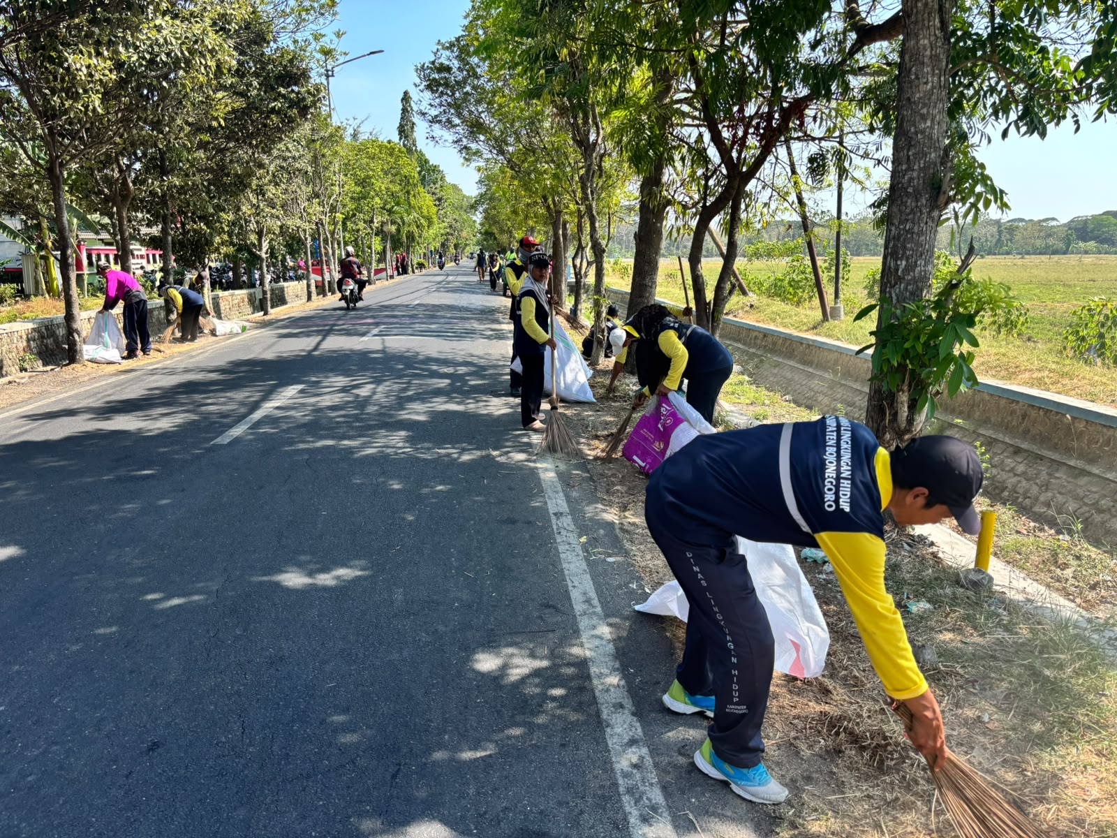 Kolaborasi DLH Bojonegoro dan Pemdes Sukorejo , Gelar Gerakan Bersih Lingkungan di Jalan Monginsidi